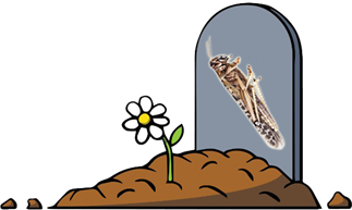 Locust Grave